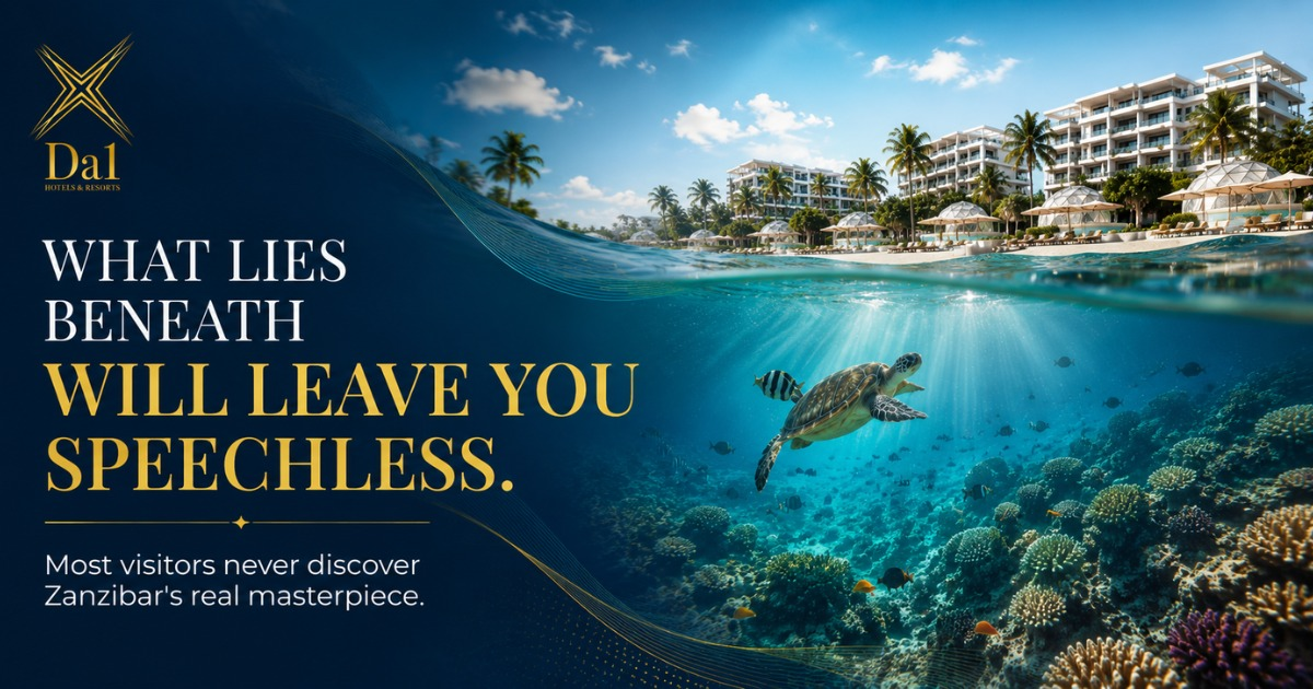 Zanzibar Underwater Adventure: A Diver's Guide to the Indian Ocean